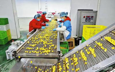 在鄉(xiāng)下辦廠有什么好項目(投資3萬以內的小生意)